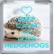 Keep Calm and Love Hedgehogs - Small Coaster