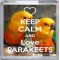 Keep Calm and Love Parakeets - Small Coaster