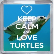 Keep Calm and Love Turtles - Small Coaster