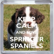 Keep Calm and Love Springer Spaniels - Small Coaster
