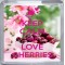 Keep Calm and Love Cherries - Small Coaster