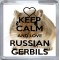 Keep Calm and Love Russian Gerbils - Small Coaster