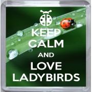 Keep Calm and Love Ladybirds - Small Coaster