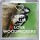 Keep Calm and Love Woodpeckers - Small Coaster