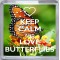 Keep Calm and Love Butterflies - Small Coaster