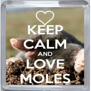 Keep Calm and Love Moles - Small Coaster