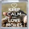 Keep Calm and Love Moles - Small Coaster