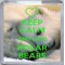 Keep Calm and Love Polar Bears - Small Coaster