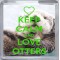 Keep Calm and Love Otters - Small Coaster