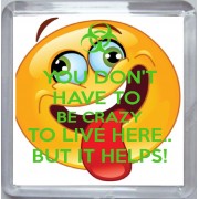 You Don't Have to be Crazy to Live Here But it Helps! - Small Coaster