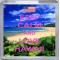 Keep Calm and Love Hawaii - Small Coaster