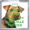 Keep Calm and Love an Airedale Terrier - Small Coaster