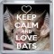 Keep Calm and Love Bats - Small Coaster