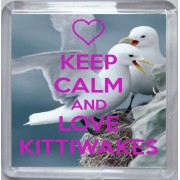 Keep Calm and Love Kittiwakes - Small Coaster