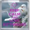 Keep Calm and Love Kittiwakes - Small Coaster