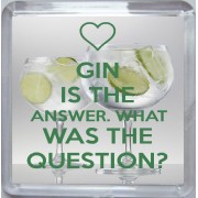Gin is the Answer. What was the Question? - Small Coaster