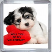 Will You be My Valentine? - Small Coaster