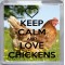 Keep Calm and Love Chickens - Small Coaster