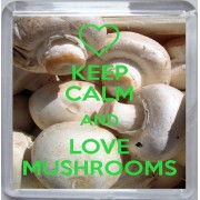 Keep Calm and Love Mushrooms - Small Coaster