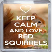 Keep Calm and Love Red Squirrels - Small Coaster