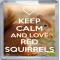 Keep Calm and Love Red Squirrels - Small Coaster