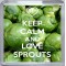 Keep Calm and Love Sprouts - Small Coaster