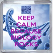 Keep Calm because Biology Rocks - Small Coaster