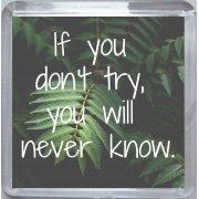 If you don't try, you will never know. - Small Coaster