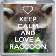 Keep Calm and Love a Raccoon - Small Coaster