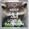 Keep Calm and Love a Raccoon - Small Coaster