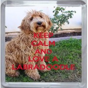 Keep Calm and Love a Labradoodle - Small Coaster