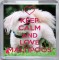 Keep Calm and Love Maltipoos - Small Coaster