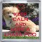 Keep Calm and Love a Lhasa Poo - Small Coaster