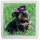 Picture of a Yorkshire Terrier - Small Coaster