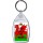 Keep Calm I'm Welsh - Keyring