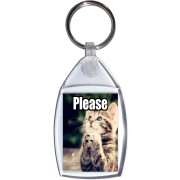 Please - Keyring