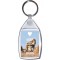 Keep Calm and Love Lions - Keyring