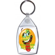 You Don't Have to be Crazy to Work Here But it Helps! - Keyring