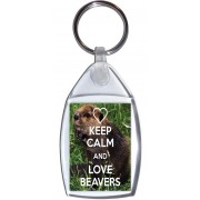 Keep Calm and Love Beavers - Keyring