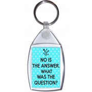 No is the Answer. What was the Question? - Keyring