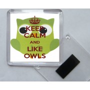 Keep Calm and Like Owls - Square Acrylic Fridge Magnet