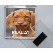 Really! - Square Acrylic Fridge Magnet