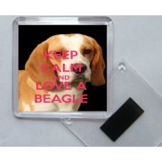 Keep Calm and Love a Beagle - Square Acrylic Fridge Magnet