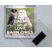 Keep Calm and Love Barn Owls - Square Acrylic Fridge Magnet