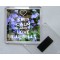 Keep Calm and Love Bluebells - Square Acrylic Fridge Magnet