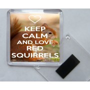 Keep Calm and Love Red Squirrels - Square Acrylic Fridge Magnet