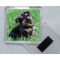 Picture of a Yorkshire Terrier - Square Acrylic Fridge Magnet