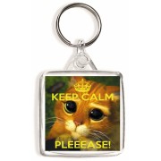 Keep Calm Pleeese! - Square Keyring