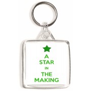 A Star in the Making - Square Keyring