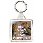 Keep Calm and Love Chipmunks - Square Keyring